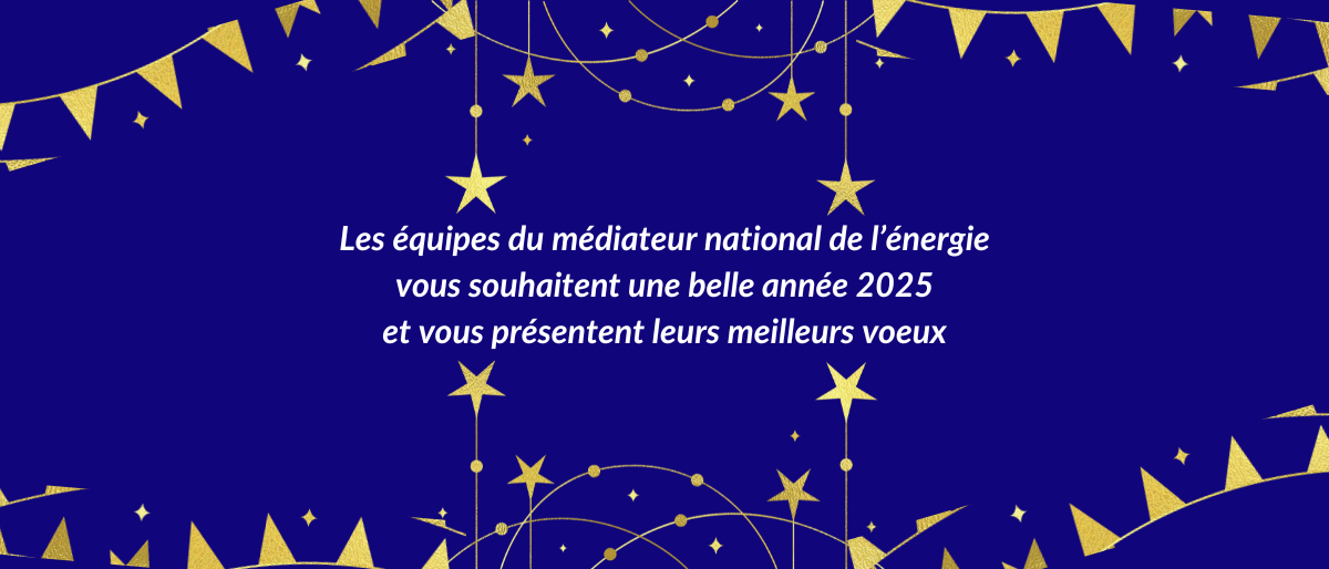 Vœux 2025 du médiateur national de l&rsquo;énergie